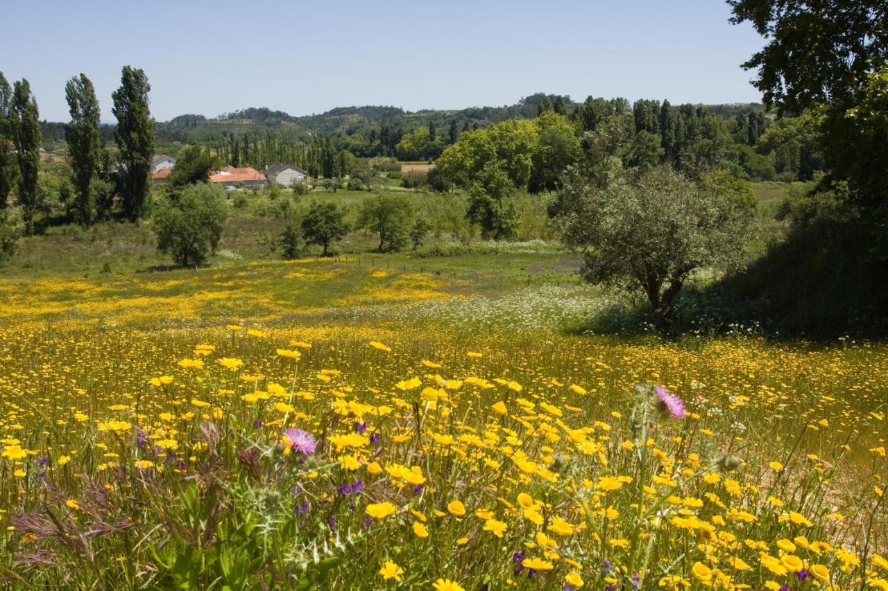 Vila Quinta Da Alcaidaria Mor Ourém Exteriér fotografie