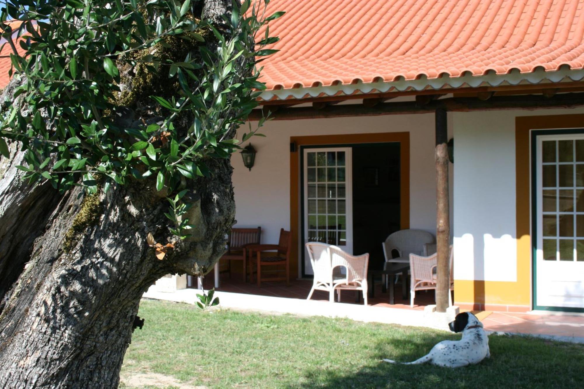 Vila Quinta Da Alcaidaria Mor Ourém Exteriér fotografie