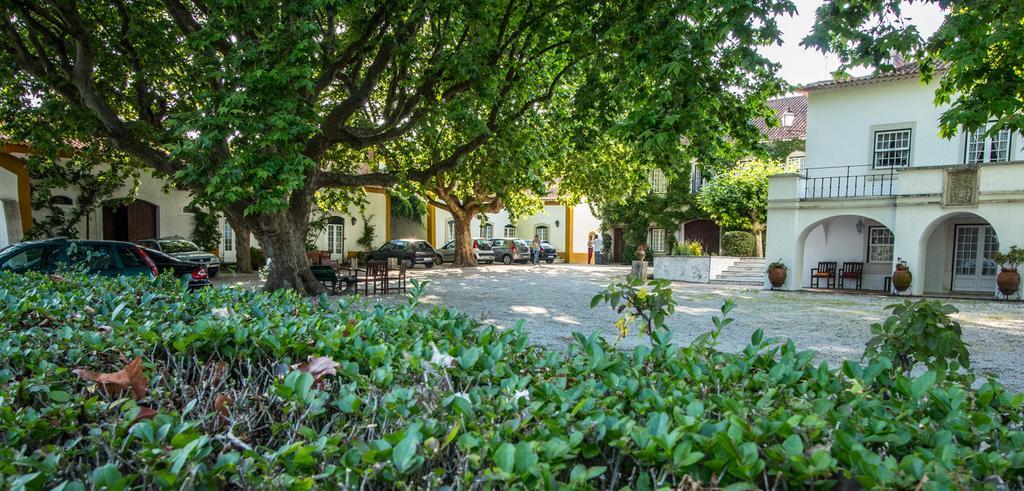 Vila Quinta Da Alcaidaria Mor Ourém Exteriér fotografie